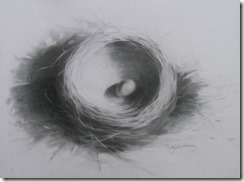 robins-nest-charcoal-on-paper-8x10MJ